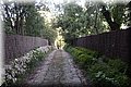 PA291417.JPG