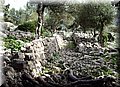 PA291437.JPG