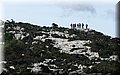 PA291450.JPG