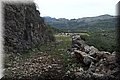 PA291463.JPG