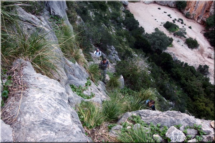 PA311489.JPG