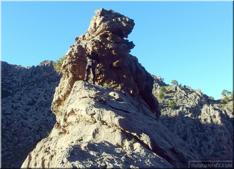 PA311497.JPG