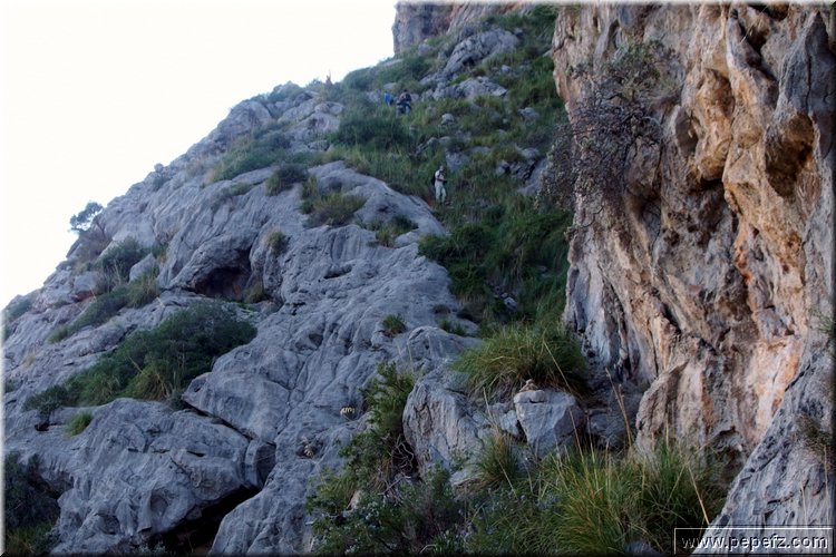 PA311528.JPG