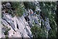 PA311487.JPG