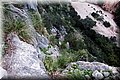 PA311489.JPG