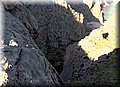 PA311495.JPG