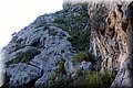 PA311528.JPG