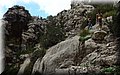 PA311586.JPG