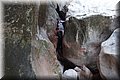 PA311600.JPG