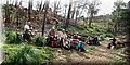 IMG_0411_panorama.jpg