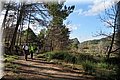 IMG_0416.JPG
