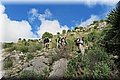 IMG_0457.JPG
