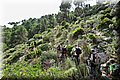 IMG_0466.JPG