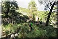 IMG_0475.JPG
