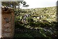 PB051710.JPG