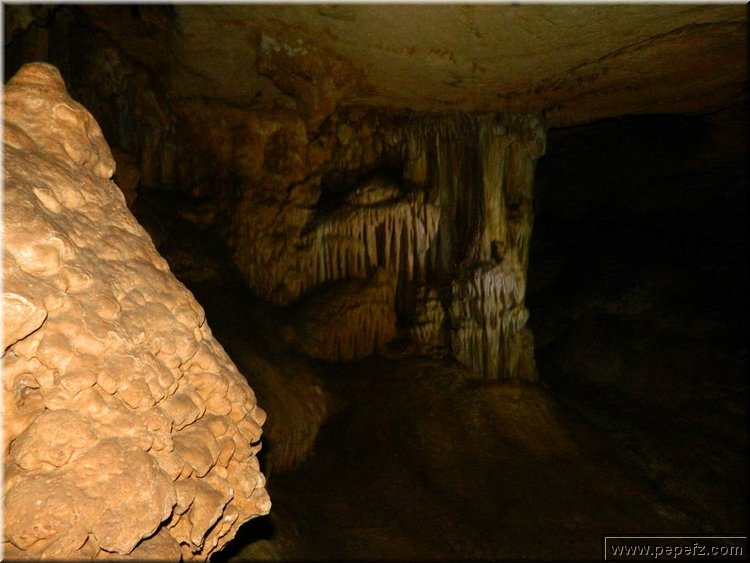 DSCN4700.JPG
