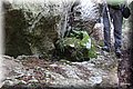 PB121831.JPG