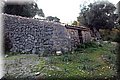 PB162051.JPG