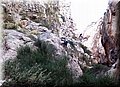 AoTMA.jpg