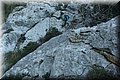 PB190030.JPG
