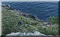 PB190046.JPG