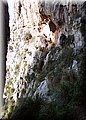 PB190068.JPG