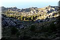 PB190079.JPG