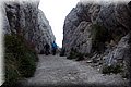 PB190084.JPG