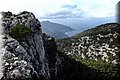 PB230110.JPG