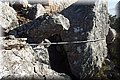 PB230127.JPG