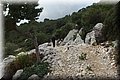 PB260130.JPG