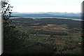 PC030235.JPG