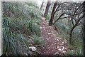 PC030240.JPG