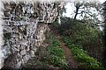 PC030259.JPG