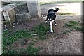 PC100327.JPG