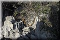 PC100339.JPG