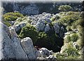 PC100343.JPG