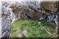 PC100397.JPG