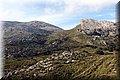 PC100423.JPG
