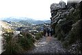 PC100429.JPG