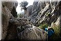 PC140438.JPG
