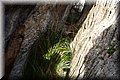 PC140439.JPG