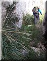 PC140446.JPG