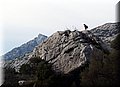 PC140451.JPG