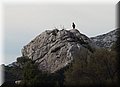 PC140452.JPG