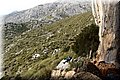 PC140470.JPG