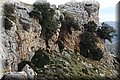 PC140473.JPG