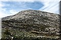 PC140479.JPG