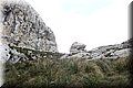 PC140487.JPG