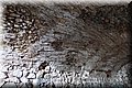 PC140492.JPG